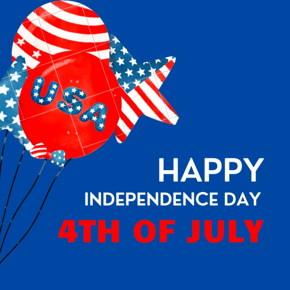 INDEPENDENCE DAY - Picture 7 of 17